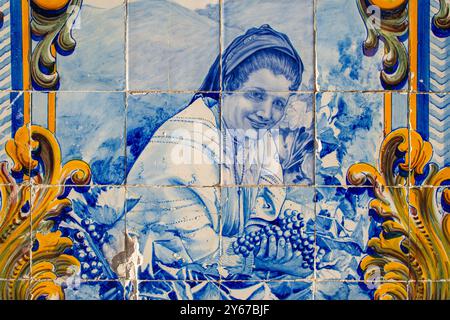 Primo piano di pannelli di piastrelle blu e bianche (azulejos), che mostrano la donna che raccoglie l'uva, la stazione ferroviaria esterna di Pinhao, Pinhao, Portogallo Foto Stock