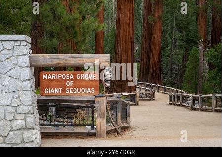 Ingresso al Boschetto di sequoie giganti di Mariposa nel Parco Nazionale di Yosemite, che mostra i torreggianti alberi di sequoia e il cartello di benvenuto. Foto Stock