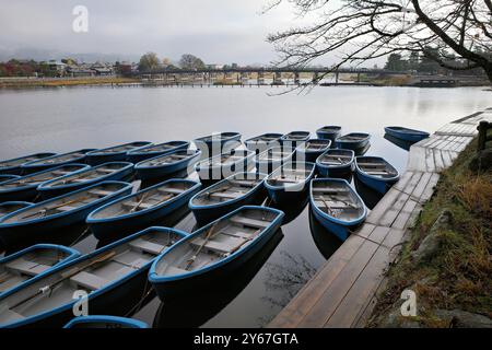 Più barche a remi blu sono attraccate da un molo di legno su un lago calmo con una vista distante di una piccola città e delle montagne. Foto Stock