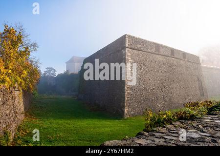 uzhhorod, ucraina - 10 novembre 2012: castello con muro di pietra. paesaggio urbano in una mattinata nebbiosa in autunno. popolare destinazione di viaggio Foto Stock