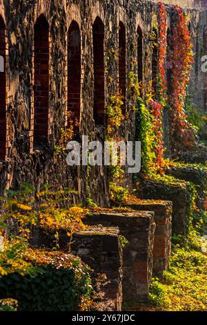 uzhhorod, ucraina - 12 ottobre 2008: muro del castello di pietra alla luce della sera. paesaggio urbano in autunno. pianta d'edera e fogliame colorato. cortile interno. popolare Foto Stock