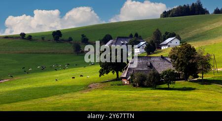 Azienda agricola alla luce della sera, Breitnau nella Foresta Nera, Baden-Württemberg, Germania, Foto Stock