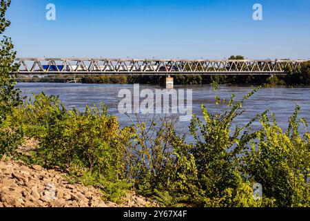 Magdeburgo, Germania 20. Settembre 2024: Im Bild: Ein Güterzug überquert die Hohwasser führende Elbe aus Magdeburg kommend a Richtung Biederitz. Sachsen-Anhalt *** Magdeburgo, Germania 20 settembre 2024 nella foto Un treno merci attraversa l'Hohwasser Elba proveniente da Magdeburgo in direzione Biederitz Sassonia-Anhalt Copyright: XFotostandx/xReissx Foto Stock