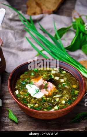 Botvinia, tradizionale zuppa fredda russa. stile rustico. messa a fuoco selettiva Foto Stock