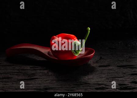 Peperone habanero Savina rosso in cucchiaio su un tavolo di legno nero. È una varietà di peperoncino con una temperatura nominale di 350.000 - 577.000 unità Scoville Foto Stock