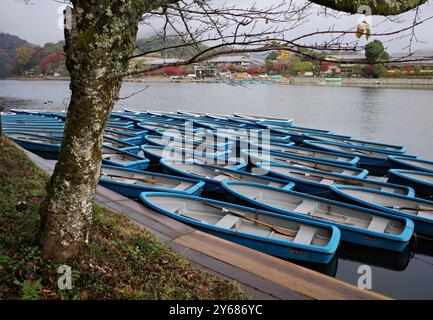 Una vista serena delle barche a remi blu attraccate sul lungofiume con un albero in primo piano e colorato fogliame autunnale sullo sfondo. Foto Stock