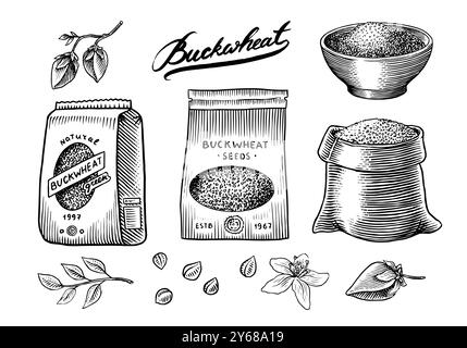 Raccolta di grano saraceno. Piante e semole di grano saraceno incise, trafilate a mano. Illustrazione del vettore del set di icone per il contorno dei cereali da prato. Inchiostro e clipart Illustrazione Vettoriale