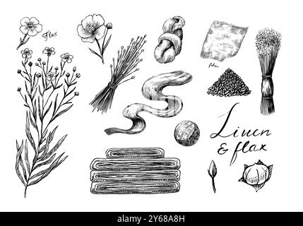 Semi di lino e fiori di lino disegnati a mano. Illustrazione della clipart vettoriale. Schizzo linea e inchiostro. Stile vintage disegnato a mano. Illustrazione Vettoriale