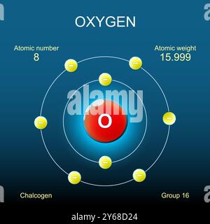 Struttura atomica di ossigeno. Modello di Bohr di atomo con nucleo, orbitale ed elettroni su sfondo scuro. Elemento chimico. Chalcogen. Chimica organica. Illustrazione Vettoriale