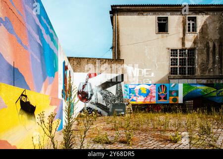 Street art su magazzino portuale in disuso e abbandonato, Vila Nova de Gaia, Porto, Portogallo Foto Stock