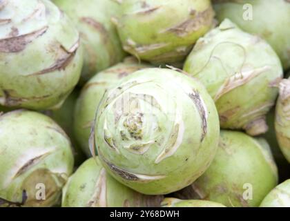 Primo piano su un mucchio di kohlrabi, chiamato anche rapa tedesca o cavolo di rapa, è una verdura biennale, una cultivar bassa e robusta di cavolo selvatico. Visualizzato Foto Stock