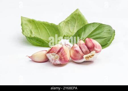 Foglie di basilico (Ocimum basilicum) e spicchi d'aglio su sfondo bianco Foto Stock