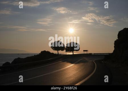 Una vista panoramica di una strada curva che conduce verso l'orizzonte con due alberi sagomati sotto il sole del tramonto, che gettano lunghe ombre lungo l'asp Foto Stock