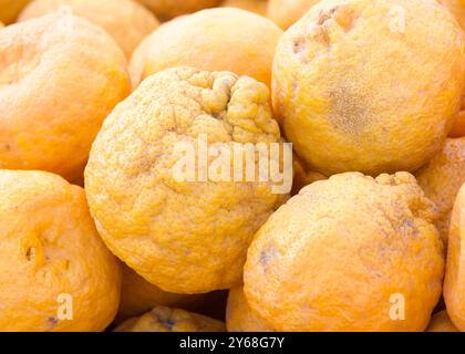 Primo piano su un mucchio di arance di mandarino mature fresche in vendita al mercato agricolo. Foto Stock