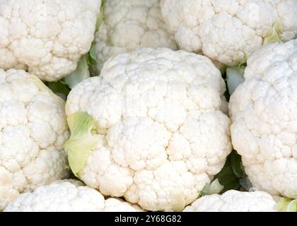 Primo piano su un mucchio di cavolfiore maturo fresco in vendita al mercato agricolo. Vista dall'alto. Foto Stock