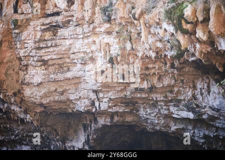 Vista ravvicinata di una parete di roccia caratterizzata da importanti strati orizzontali di pietra, con macchie di muschio che crescono tra crepe e fessure. Foto Stock