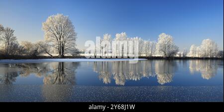 Laghetto semi-ghiacciato in inverno, braccio del Saale, alberi con neve e paraspruzzi sulla riva, cristalli di ghiaccio in primo piano, bassa valle del Saale nat Foto Stock