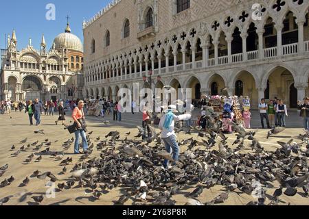 Venezia, Piazza San Marco, turisti che danno da mangiare ai piccioni in Italia Foto Stock