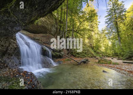 Pittoresca cascata nel mezzo di una tranquilla foresta con cieli limpidi e rocce e alberi circostanti, Hasenreuter Wasserfall, Scheidegg, Baviera Foto Stock
