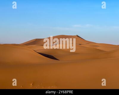 Dune di sabbia gialla di Erg Chegaga, deserto del Sahara, Marocco Foto Stock