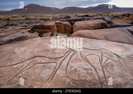 petroglyph, ungulato preistorico, deposito roccioso di Aint Ouazik, tardo Neolitico, Marocco, Africa. Foto Stock