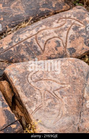 petroglyph, ungulato preistorico, deposito roccioso di Aint Ouazik, tardo Neolitico, Marocco, Africa. Foto Stock