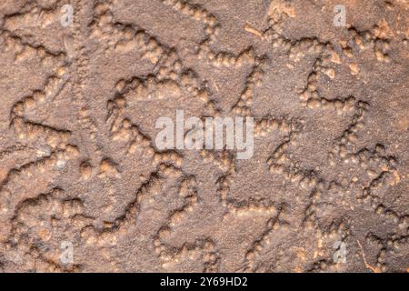 Simbolo preistorico, petroglifo, deposito roccioso di Ait Ouazik, tardo Neolitico, Marocco, Africa. Foto Stock