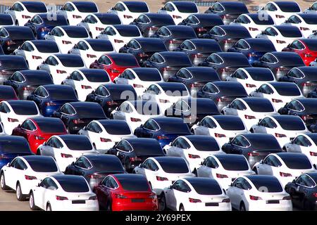 File e file di auto elettriche Tesla importate in rosso, bianco e blu, conservate sul molo in attesa della distribuzione ai Tesla Store del Regno Unito. Foto Stock