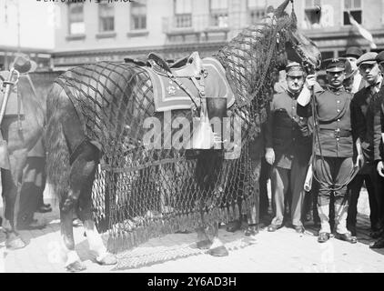 Cavallo del generale Grant, foto mostra cavallo senza cavaliere alla processione funebre il 26 aprile 1912, per il maggior generale Frederick Dent Grant (1850-1912), figlio del presidente Ulysses S. Grant, ex Commissario di polizia di New York e comandante per la divisione orientale dell'esercito degli Stati Uniti., 1912 aprile 26, Glass negatives, 1 negative: Glass; 5 x 7 pollici. o più piccolo. Foto Stock