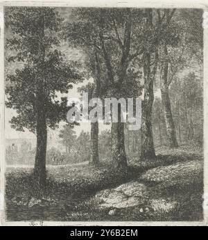 Vista di una foresta, stampa, stampatore: Hermanus Jan Hendrik Rijkelijkhuizen, (menzionato sull'oggetto), Utrecht, 1823 - 1883, carta, incisione, punto di essiccazione, altezza, 169 mm x larghezza, 160 mm Foto Stock