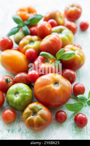 Un variopinto assortimento di pomodori, tra cui varietà cimellate, è sparso insieme a foglie di basilico fresco su una superficie ruvida, mostrando i fres della fattoria Foto Stock