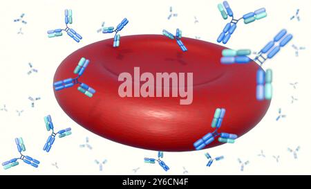 rendering 3d di molecole di anticorpi sparse intorno ai globuli rossi o agli eritrociti. Foto Stock