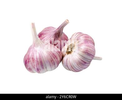 Aglio isolati su sfondo bianco Foto Stock