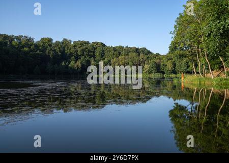 Immagine panoramica del paesaggio all'interno del Vulkan Eifel, Renania-Palatinato, Germania Foto Stock