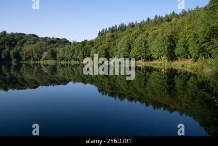 Immagine panoramica del paesaggio all'interno del Vulkan Eifel, Renania-Palatinato, Germania Foto Stock