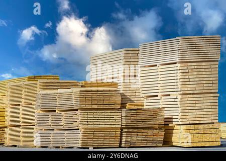 legno da costruzione impilato e lavorato in una segheria Foto Stock