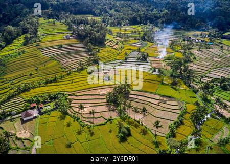 Indonesia, Bali orientale, Amlapura, vista aerea delle risaie Tirta Gangga Foto Stock