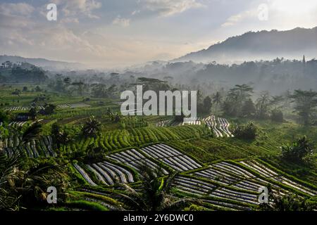 Indonesia, Bali, Sidemen, paesaggio di risaie Foto Stock