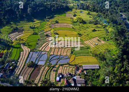 Indonesia, Bali, Sidemen, vista aerea del paesaggio delle risaie Foto Stock