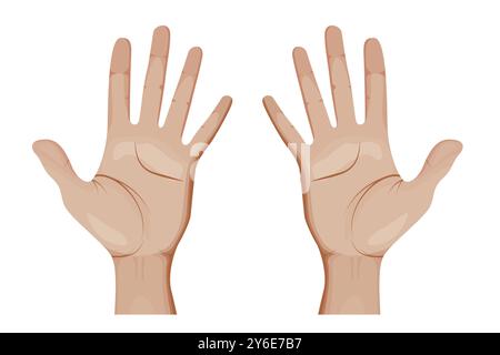 Illustrazione vettoriale mani umane. Apri Palms. Illustrazione Vettoriale