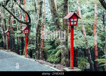Lanterne rosse e foresta verde vicino al monte Fuji Foto Stock