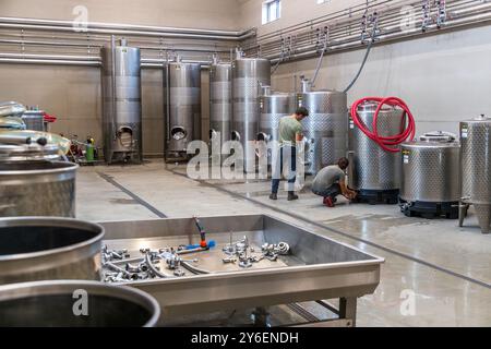 Johan e Heather Öberg gestiscono l'azienda vinicola Thora Vingård. Dalen, Båstads kommun, Skåne, Svezia Foto Stock