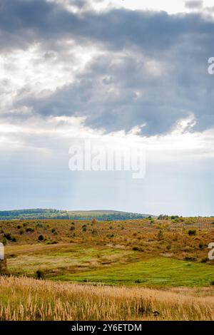 campagna ucraina. pomeriggio nuvoloso. paesaggio autunnale. prato e colline ondulate. paesaggio rurale. vigneto abbandonato in lontananza Foto Stock