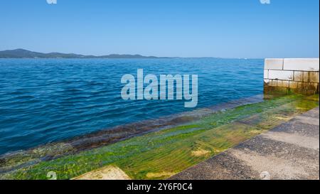 Zara Sea Organ in Croazia. Foto Stock