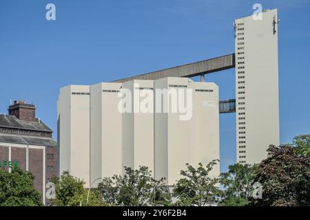 Getreidesilos, Behala, Westhafen, Moabit, Mitte, Berlin, Deutschland *** Grain silos, Behala, Westhafen, Moabit, Mitte, Berlino, Germania Foto Stock