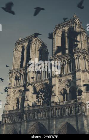 Gli uccelli neri volano intorno alle torri iconiche della cattedrale di Notre-Dame. Parigi, Francia. Prima di un incendio. Concetto di metafora dell'anima. Spaventosa profezia maledetta. Foto Stock