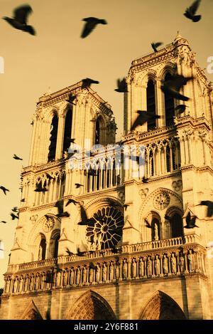 Gli uccelli neri volano intorno alle iconiche torri della cattedrale di Notre-Dame, illuminate dal tramonto. Parigi, Francia. Prima di un incendio. Retro Foto Stock