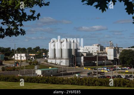 La Irving Pulp and Paper Limited, precedentemente Irving Pulp Mill, Reversing Falls, è una società privata situata a West Saint John, New Brunswick, Canad Foto Stock