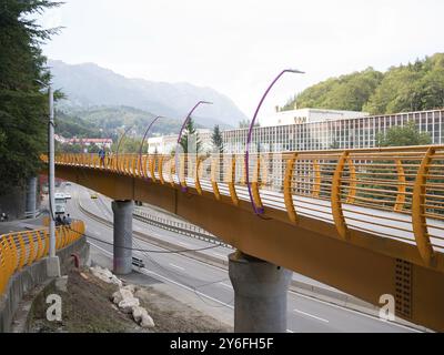 Sinaia, Romania - 25 settembre 2024 - Ponte pedonale giallo vibrante che collega i quartieri. Foto Stock