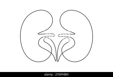 Organo umano renale disegno su una linea. I reni umani continuano a disegnare una linea Illustrazione Vettoriale